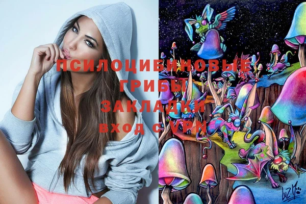 apvp Абаза