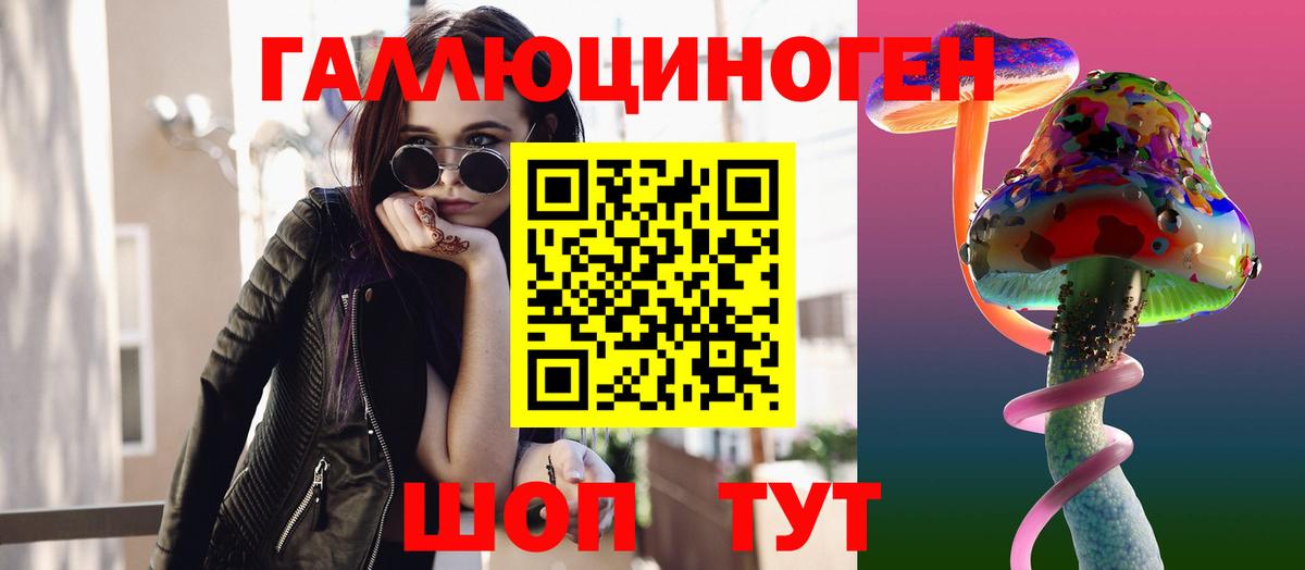 Узловая  Псилоцибиновые грибы Psilocybe  Псилоцибиновые грибы мицелий  Вход с VPN 